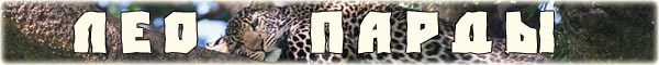 http://www.bigcats.ru/images/titles/leopards.jpg