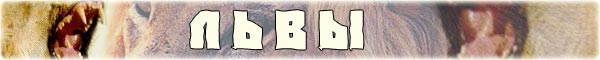http://www.bigcats.ru/images/titles/lions.jpg